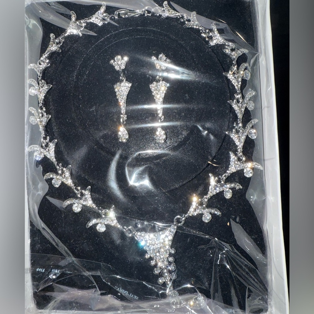 Elegant Silver Necklace and Earring Set